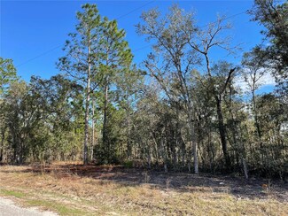 0 139th Street Road Roads, Ocala, FL 34473
