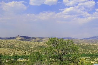 40 Grouse Ln, Hanover, NM 88041