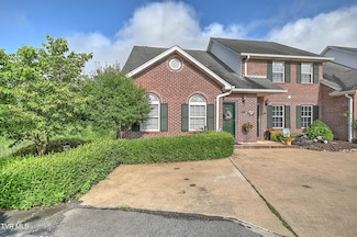 110 Eagle View Private Dr, Blountville, TN 37617