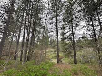 0 Bickleton Hwy Unit 773582663, Bickleton, WA 99322