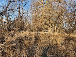 Lot 1536 Lake Wildwood Dr, Varna, IL 61375