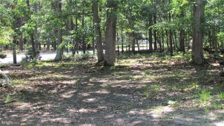171 Coxs Crossing Rd, West Creek, NJ 08092