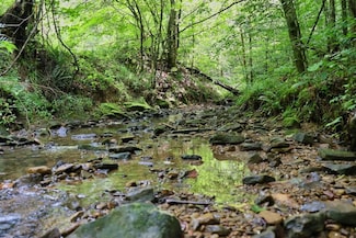 0 Acorn Fork Rd Lot Unit Wp001, Flat Lick, KY 40935