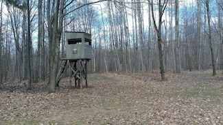 NHN 40 Acres Heath Rd, Lupton, MI 48635