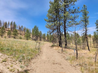 31XYZ Hawk Creek Ranch Rd N, Deer Meadows, WA 99122