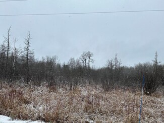 8007 S Forrest Side Rd Unit 8007, Brimley, MI 49715