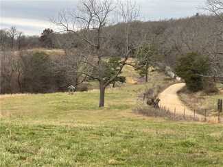 Tract C-1 Nicewarner Rd, Lincoln, AR 72744