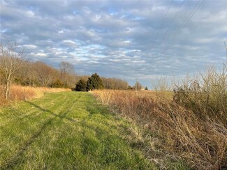 2231 Quick Rd, Carrigan Township, IL 62870