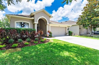 33810 Honeywood Ave, Wesley Chapel, FL 33545