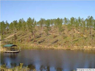 0 River Ranch Rd Unit 111 AC 595042, Ragland, AL 35131