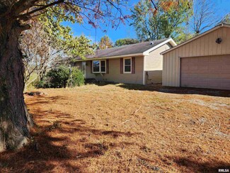 459 E Fords Ferry Rd, Cave-In-rock, IL 62919