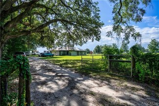 10652 Cr 229, Oxford, FL 34484