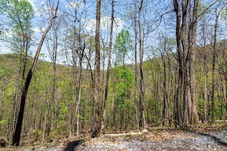 29 Hidden Valley Dr, Ellijay, GA 30536