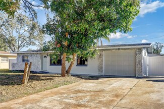 202 Cranberry Ln, Brandon, FL 33510