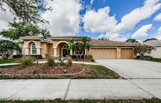 2042 Diamond Ct, Oldsmar, FL 34677