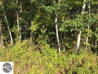 N/A N Huron Rd, Tawas City, MI 48763