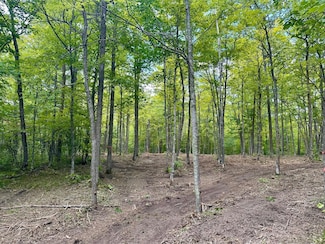 TBD County Road 157 NE, Boy Lake Township, MN 56672