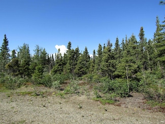 254.5 mile Richardson Hwy, Delta Junction, AK 99737