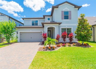 18728 Birchwood Groves Dr, Lutz, FL 33558