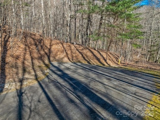 TBD Ladys Fern Trail Unit 10, Laurel Park, NC 28739