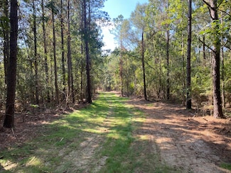 45 Acres Eddie Smith Rd, Hattiesburg, MS 39401