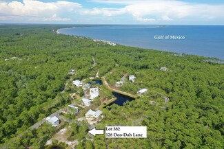 128 Doo-Dah Ln, Saint Teresa, FL 32358
