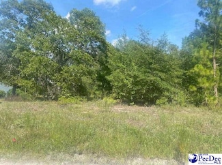 TBD Mapletree Dr, Dillon, SC 29536