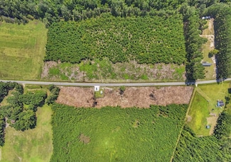 Lot B3 Black Creek Rd, Nichols, SC 29581