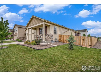 926 Birchdale Ct, Windsor, CO 80550