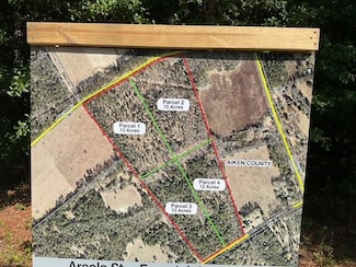 0000 Parcel 1- Arcola Rd, Wagener, SC 29164