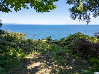 9999 N Bagley Creek Dr, Port Angeles, WA 98362