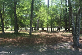 3155 Fairway 3 Ct SW, Supply, NC 28462