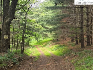 137 C and M Ln, Laurel Springs, NC 28644