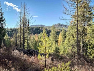 TBD Olinger (Hammer) Rd, Springdale, WA 99173