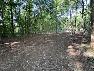 Lot 3 Sales Landing Rd, Camden, TN 38320