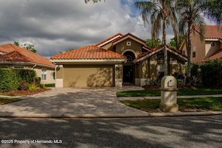 18919 Place Marquette, Lutz, FL 33558