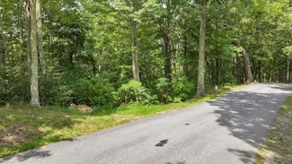 Lot 17 Wildwood Ridge, Caldwell, WV 24925