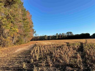 TBT Blind Man Rd, Kingstree, SC 29556