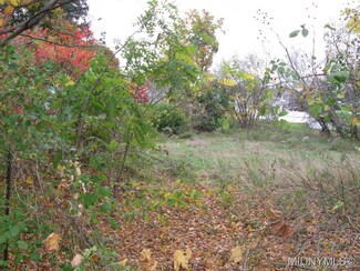 0 Eighth Ave, Frankfort, NY 13340