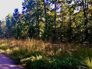93 W South Ridge Rd, Bigelow, AR 72016