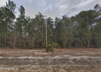 926 Del Monaco Ave, Interlachen, FL