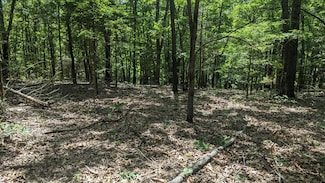000 Lot # 94 Hwy 173, Cape Fair, MO 65624