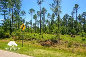 Tbd Spread Oak Rd, Keysville, GA 30816