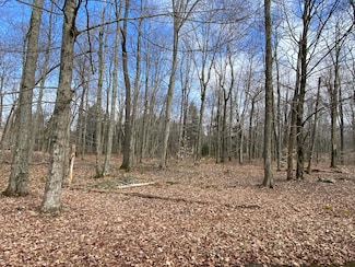 1018 W Wadi Rd W, Pocono Lake, PA 18347