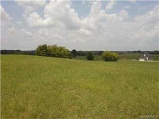 0 Hwy 31, Letohatchee, AL 36047