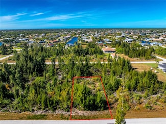 9259 Lingle St, Port Charlotte, FL 33981