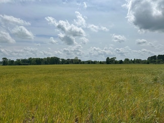 0 Hwy 64 Unit 522189, Lexington, AL 35648