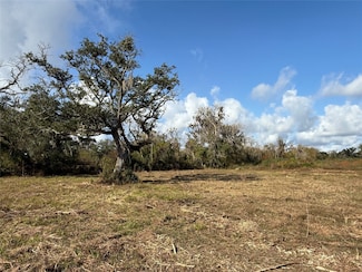 1 County Road 700, Brazoria, TX 77422