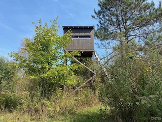 00 County Road 16, Angelica, NY 14709