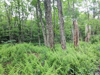5 Rose Bud Ln, Camden, NY 13316